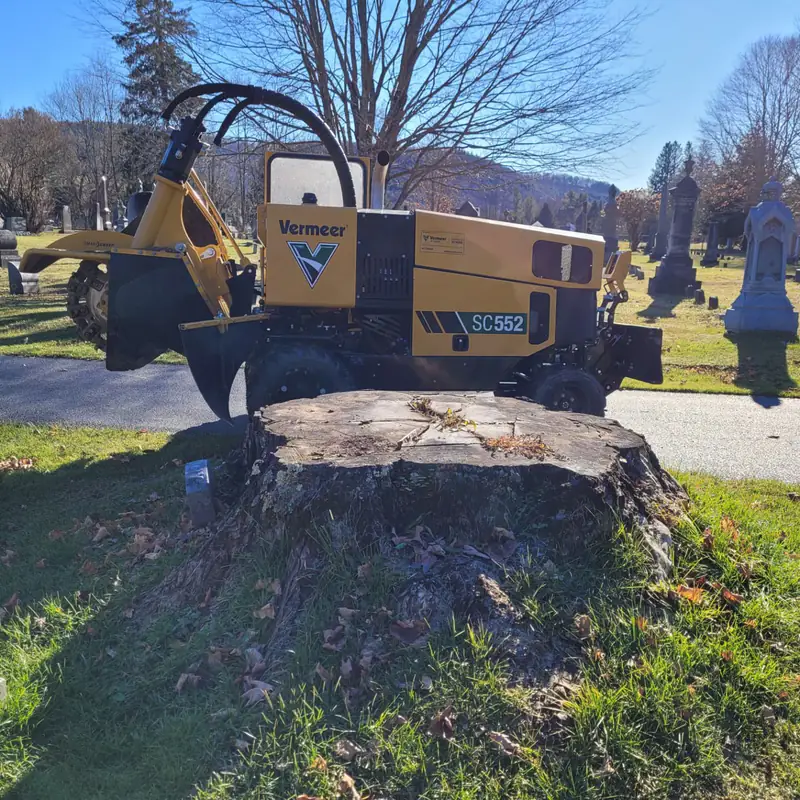 A wide sawn stump in a cemetery with the yellow SC552 grinder parked behind it