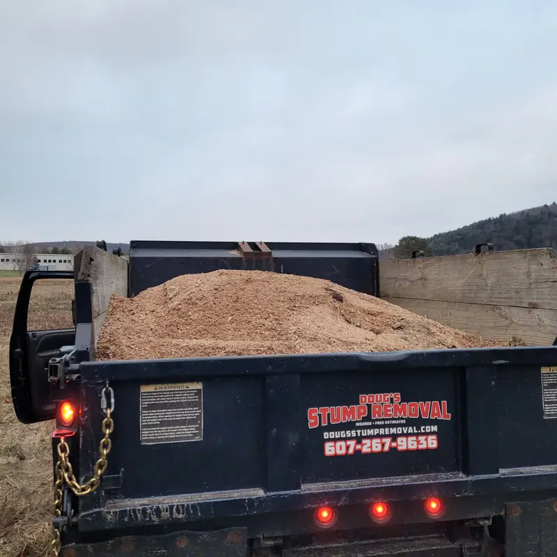 The bed of the dump truck heaped with wood grindings, the tailgate lettered Doug's Stump Removal, insured, free estimates